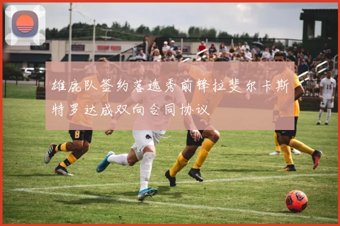雄鹿队签约落选秀前锋拉斐尔卡斯特罗达成双向合同协议